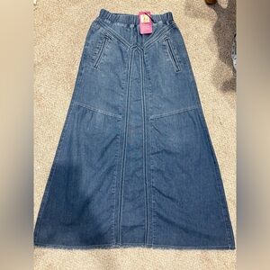 Denim A-Line Skirt